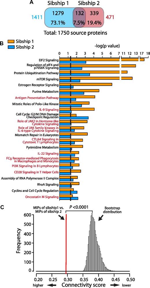 Figure 2. MIP source proteins are very different in the 2 sibships, but are implicated in similar biologic pathways and are interconnected functionally. (A) Venn diagram showing the minimal overlap between MIP source proteins from sibships 1 versus 2. Protein numbers and percentages are depicted for each category. Total numbers of MIP source proteins for each sibship are shown in colors. (B) The Ingenuity Pathway Analysis resource was used to identify overrepresented biologic pathways for MIPs source proteins in sibships 1 and 2. Pathways are sorted by their statistical significance as follows: −log(P value calculated with the right-tailed Fisher exact test). Higher scores indicate an increased association between the MIP source proteins and a given pathway. The dotted line represents the threshold for statistical significance (P < .05). Immune-associated pathways are highlighted in red. (C) MIP source proteins from HLA-disparate sibships are interconnected functionally. An all-pairs-shortest-path matrix was used to calculate the functional association between MIP source proteins of sibship 1 and MIPs source proteins of sibship 2 (see “Functional connectivity score” for details). The functional association was measured as a connectivity score, which corresponds to the mean of the shortest path distance between every pair of proteins (1 protein from each sibship) in an interaction network. Lower scores indicate increased connectivity. The red line represents the connectivity score between the MIP source proteins of sibship 1 and the MIP source proteins of sibship 2. A bootstrap procedure, represented by the Gaussian distribution, was used to calculate control connectivity scores between MIP source proteins (of sibships 1 or 2) and random sets of proteins from the human proteome (*P < .0001, calculated as the number of times that the score of the bootstrap is smaller than the score of the sample/number of bootstraps).
