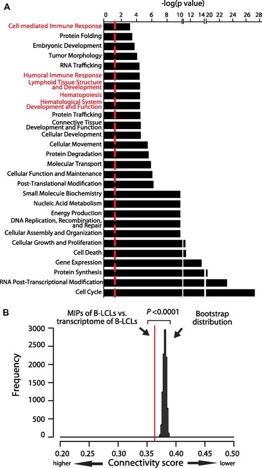 Figure 4. The MIP repertoire is connected functionally to the transcriptome. (A) Graph showing the major functional categories that are overrepresented in the MIP repertoire of B-LCLs. Overrepresented functional categories were identified with the Ingenuity Pathway Analysis resource and are sorted by their statistical significance as follows: −log (P value calculated with the right-tailed Fisher exact test). Higher values indicate an increased association between the MIP source proteins and a given category. The dotted line represents the threshold for statistical significance (P < .05). Immune-associated categories are highlighted in red. More details on functional annotations represented in immune-associated categories are provided in supplemental Table 2. (B) The immunopeptidome of B-LCLs is connected functionally to the transcriptome of B-LCLs. An all-pairs-shortest-path matrix was used to calculate the functional association between MIP source proteins and the protein-coding transcriptome of B-LCLs (see “Functional connectivity score” for details). The functional association was measured as a connectivity score corresponding to the mean of the shortest path distance between every pair of proteins in an interaction network (ie, 1 MIP-source protein and 1 expressed transcript of B-LCLs). The red line represents the connectivity score between MIP source proteins and transcripts expressed by B-LCLs. A bootstrap procedure, represented by the Gaussian distribution, was used to calculate the control connectivity scores between MIP source proteins and random sets of the human transcripts. (*P < .0001).