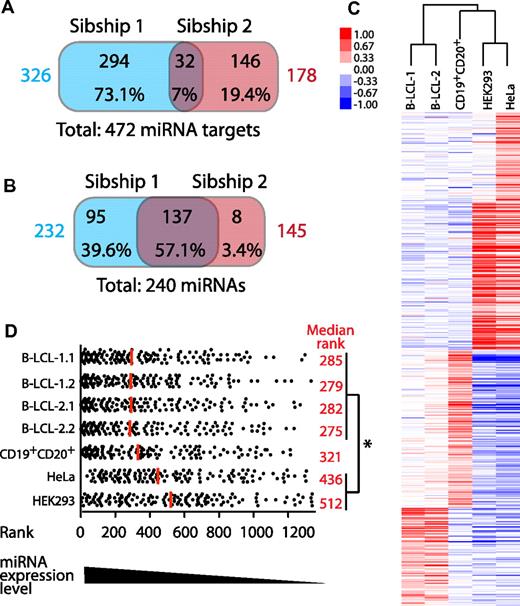 Figure 6. MIPs from HLA-disparate sibships derive from different sets of transcripts regulated by similar miRNomes. (A) Venn diagram showing that MIPs of HLA-disparate sibships derive from different sets of miRNA targets. The WebGestalt analysis program28 was used to identify transcripts significantly enriched in 3′-UTR–binding sites of specific miRNAs among all MIP source transcripts identified in sibships 1 and 2 (P < .05 by hypergeometric test). The total number of MIP source transcripts that are miRNA targets for each sibship are shown in colors. (B) Different sets of MIP source transcripts are predicted to be regulated by mostly the same miRNAs. The WebGestalt analysis program28 was used to identify miRNAs that recognize the 3′-UTR–binding site present in enriched MIP source transcripts. The numbers and percentages of miRNAs are depicted for each category. Total number of miRNAs that target MIP source transcripts in each sibship are shown in colors. (C) miRNA profiling showing that B-LCLs from HLA-disparate sibships have similar miRNA-expression profiles. Human miRNA microarrays were used to assess the expression of 1205 human and 144 viral miRNAs in B-LCLs (2 subjects from each sibship), CD19+CD20+ cells isolated from PBMCs of one member of sibship 2, and 2 nonlymphoid cell lines (HEK293 and HeLa). Hierarchical clustering was used to calculate the correlation between various profiles (represented by a dendrogram). (D) miRNAs that target MIP source transcripts in B-LCLs are expressed at higher levels in B-LCLs than in other cell types. All miRNAs studied were ranked from high to low according to their expression level in each cell line. Among them, the ranking of each of the 133 miRNAs predicted to regulate MIP source transcripts in B-LCLs was determined in B-LCLs, primary CD19+CD20+ cells, HEK293 cells, and HeLa cells. Each dot corresponds to 1 miRNA. The median rank is shown for each cell population (red line and values). On average, miRNAs predicted to recognize MIP source transcripts were ranked significantly higher (ie, were more expressed) in B-LCLs than in nonlymphoid cell lines (*P < .05 by 1-way ANOVA and the Bonferroni multiple comparison test). B-LCL-1.1 indicates B-LCLs from subject 1 of sibship 1; B-LCL-1.2, from subject 2 of sibship 1; B-LCL-2.1, from subject 1 of sibship 2; and B-LCL-2.2, from subject 2 of sibship 2.