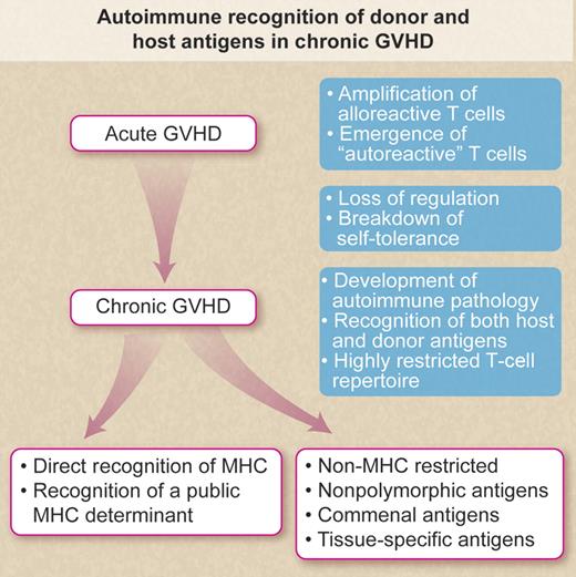 Autoimmune recognition of donor and host antigens in chronic GVHD. Schematic illustration indicating potential mechanism accounting for “autoimmune” recognition of donor and host antigens in chronic GVHD after allogeneic bone marrow transplantation. Professional illustration by Debra T. Dartez.