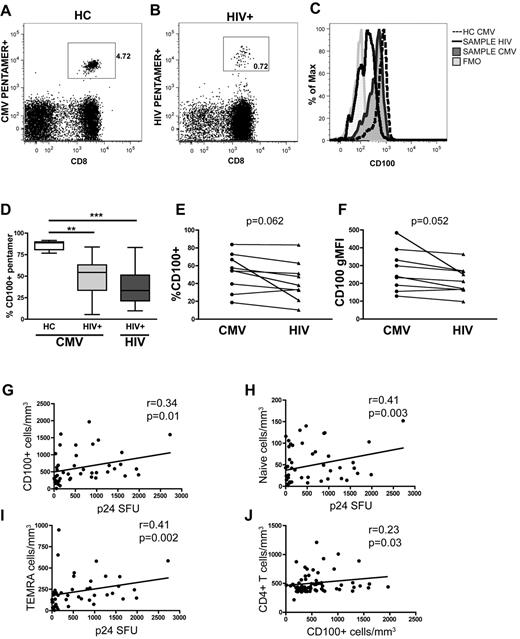 Figure 3. Antigen-specific CD8+ T-cell expression of CD100 is decreased and the absolute numbers of CD100 expressing total CD8+ T cells, naive cells and TEMRAS correlate with p24-specific T-cell responses in untreated, viremic chronically infected individuals. Representative dot plots of (A) CMV pentamer-specific T cells in HC and (B) HIV-1–specific CD8+ T cells in a chronically HIV-1–infected individual. (C) Histogram of CD100 expression by pentamer-specific CD8+ T cells. (D) Summary of CD100 expression on antigen-specific CD8+ T cells in HCs and HIV-1 patients. Comparison of the (E) percentage of CD100 expression and (F) CD100 gMFI in HIV-1 infected subjects with both CMV and HIV-1–specific CD8+ T cells within the same individual. Correlation of absolute numbers of CD100 expressing (G) CD8+ T cells, (H) naive CD8+ T cells, and (I) CD8+ TEMRA cells with p24-specific T-cell responses in untreated, viremic chronically infected HIV-1 patients (n = 53). (J) Correlation of CD100+ CD8+ T cells with CD4+ T-cell count in both untreated early and chronically infected patients (n = 84). Statistical analysis was performed using (D) Kruskal Wallis tests with Dunn posttest, and (E-F) 2-tailed paired Student t tests. (G-J) Correlations were determined by 2-tailed nonparametric Spearman correlations.