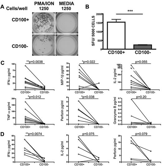 Figure 5. CD100−CD8+ T cells are functionally impaired after stimulation. (A) Representative ELISPOT wells (left column) illustrating IFN-γ production in response to PMA/ionomycin in FACS sorted CD100+ or CD100− CD8+ T cells from HCs (n = 3). Control wells containing cells in media only are shown on the right column of wells. (B) Summary of 3 independent ELISPOT experiments. (C) Assessment of IFNγ, MIP-1β IL-2, TNF-α, perforin, and granzyme B production by Luminex assay after PMA/ionomycin stimulation representing cytokine production per 1000 cells (n = 9). D) Assessment of IL-2, IFN-γ, perforin production by Luminex assay after CMV antigen-specific stimulation with CMV peptide-pulsed autologous PBMCs representing cytokine production per 1000 antigen-specific T cells (n = 6). Statistical analysis was performed using (B) Student t tests (***P < .001), and (C-D) 2-tailed paired t tests.