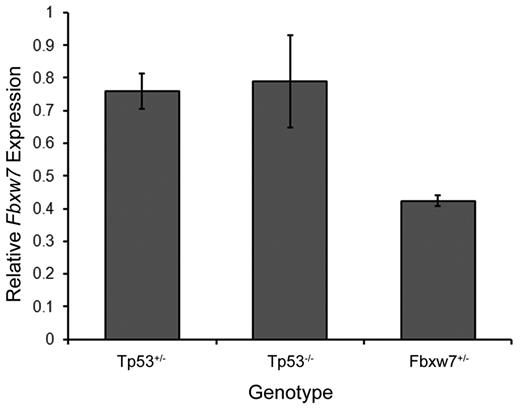 Figure 1. Fbxw7 mRNA levels in thymus. Fbxw7 expression levels are calculated relative to wild-type mice. Each genotype represents data taken from 3 animals.