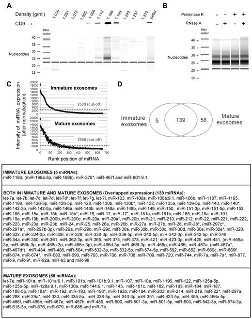 Figure 1. miRNA in BMDC-derived immature and mature exosomes. (A) Western blot analysis (top) of 1-mL density fractions from a continuous sucrose gradient used to purify BMDC exosomes. Exosomes, detected by their CD9 expression, were enriched in those fractions with characteristic exosome density. The digital gel (bottom), obtained with Agilent 2100 Bioanalyzer, shows the presence of miRNAs in the density fractions in which exosomes were present. One of 2 experiments is shown. (B) Digital gel (Agilent 2100 Bioanalyzer) showing the presence of similar levels of miRNAs isolated from exosomes treated (or not) with proteinase K and then incubated (or not) with RNase A. Results are representative of 2 independent experiments. (C) Analysis of miRNAs from BMDC exosomes showing intensity of expression of miRNAs against their rank position. Signals above the 2500 cutoff were considered positive. (D) Venn diagram with the numbers of miRNAs detected in immature and mature exosomes released by BMDCs. List with the miRNAs detected by Illumina miRNA Expression Array. In those cases were the probe did not resolve miRNAs differing at only 1 or 2 positions, miRNAs were listed in parentheses. Results are based on the miRNA profiling of 4 different samples of each type of exosomes.