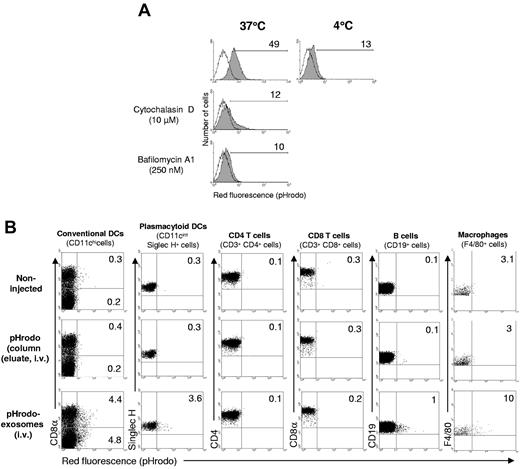 Figure 4. Internalization of BMDC-derived exosomes. (A) In vitro assay of internalization of pHrodo-exosomes (5 μg, purified by gel filtration) by BMDCs (5 × 105 cells, 1 mL of final volume) assessed by FACS. Numbers are percentages of positive cells. One of 2 independent experiments is shown. (B) In vivo endocytosis of pHrodo-labeled exosomes (300 μg, intravenously, purified by gel filtration) by different splenic leukocytes, analyzed by FACS, 3 hours after exosome administration. Numbers are percentages of positive cells in the corresponding quadrant. Results are representative of 3 mice per group.