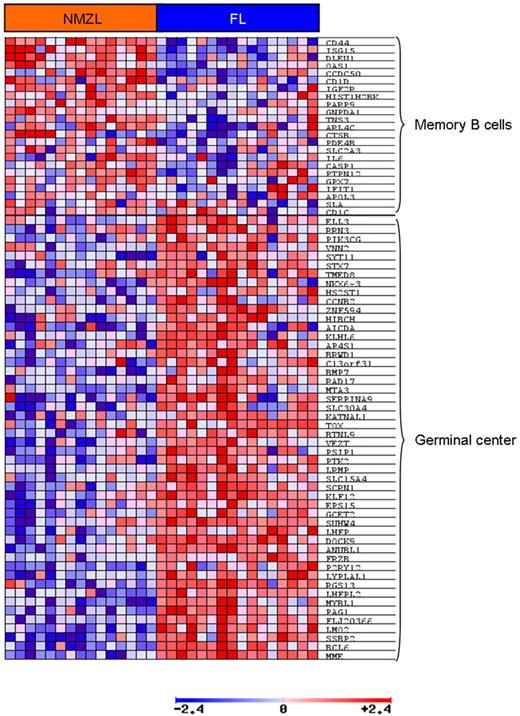 Figure 4. B cell signature expression in NMZL and FL. The GSEA assay revealed up-regulation of genes related to the germinal center were overexpressed in FL cases. Red and blue indicate higher and lower expression, respectively.