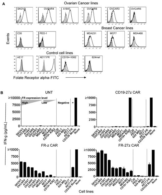 Figure 2. Enhanced immune recognition of tumor cells by CD27-bearing CAR-T cells. (A) FR surface expression on human ovarian cancer and breast cancer cell lines by flow cytometry. FR-specific mAb MOv18 was used to measure FR expression on tumor cell lines (open empty histogram), compared with a matched isotype Ab control (filled gray histogram). (B) Antigen-specific cytokine production by FR CAR-transduced T cells. IFN-γ secretion of FR-z and 27z CAR-transduced T cells after 20 hours' coculture with the indicated tumor lines at a 1:1 ratio. Untransduced T cells (UNT) and CD19-27z CAR-T cells were used as negative controls. Anti-CD3/28 beads stimulation served as positive control. CD19+K562 cell line was used as positive target control for CD19 CAR. Results are expressed as a mean and SD of triplicate wells from 1 of at least 3 separate experiments.