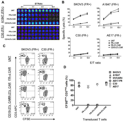 Figure 3. Specific tumor cell lysis by CD27 costimulated FR-specific CAR-T cells. (A-B) CAR-transduced T-cell lytic function was tested in bioluminescent killing assay with a 96-well microplate. FR CAR-T cells killed FR+ SKOV3 and A1847 cells but showed no killing of the FR− C30 and AE17 cells at the indicated E/T ratio for ∼ 20 hours, where untransduced T cells (UNT) and CD19 CAR-T cells served as negative controls. Results are expressed as a mean and SD of triplicate wells from 1 of at least 3 separate experiments. (C) T cells were cocultured with CFSE-labeled tumor cells at a 2:1 ratio in the absence of exogenous IL-2. After 5 days of coculture, cells were collected, stained with CD3, and analyzed for CFSE dilution by FACS analysis. Both FR-z and 27z CAR-transduced T cells killed SKOV3 cells, as evidenced by the lack of CD3neg CFSEpos cells, but not C30 cells. Nontransduced T cells and CD19-27 CAR-transduced T cells did not kill ovarian cells. (D) In all extended coculture experiments, both FR-z and 27z CAR-transduced T cells eliminated the CD3neg CFSEpos FRpos tumor cells (SKOV3, A1847, OVCAR4, and AE17.FR) but not FRneg tumor cells (C30 and AE17).
