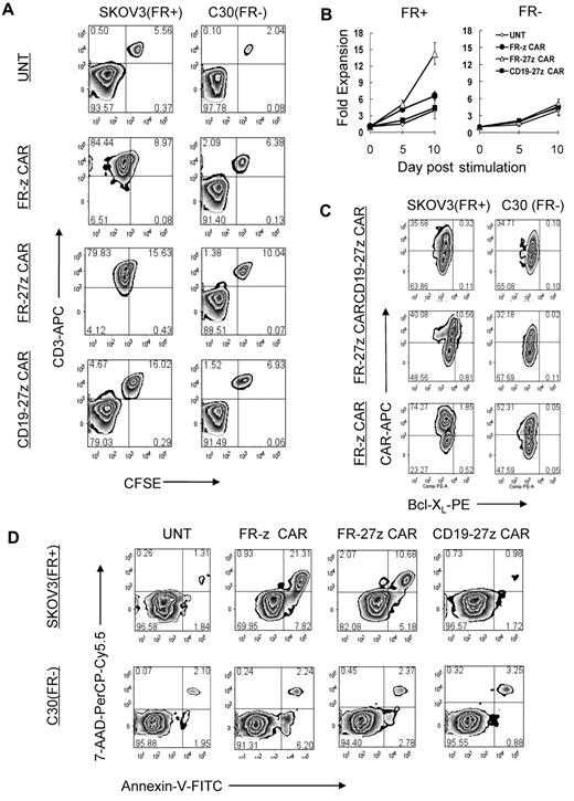 Figure 4. CD27 costimulation enhances CAR-T–cell survival and expansion in vitro. (A) CFSE-labeled FR-z and 27z CAR-transduced T cells undergo cellular division when cocultured for 5 days with FRpos SKOV3 cells but not the FRneg C30 cells. Untransduced T cells (UNT) and CD19-27z CAR-T cells did not dilute CFSE when cocultured with either FRpos SKOV3 cells or FRneg C30 cells. (B) FR CAR-T cell expansion was measured in response to stimulation with FRpos target cells at a 1:2 ratio in the absence of exogenous IL-2. Viable (trypan blue exclusion) cell counting results showed that FR-27z CAR-T cells underwent increased numerical expansion after 10 days, compared with FR-z CAR-T cells. Counts reflect mean ± SD for triplicate cultures of 2 independent assays. (C) Bcl-XL expression by FR- or CD19-specific CAR CD8 T cells was examined after 3 days of coculture with SKOV3 or C30 cells. Bcl-XL expression was preferentially increased in FR-27z CAR T-cell populations, compared with FR-z CAR+ T cells after stimulation with FRpos tumor cells. One representative FACS analysis is shown (n = 3). (D) CD27 costimulation protects against antigen-induced cell death. Apoptotic T cells were detected by simultaneous staining with annexin V (AV)–FITC and 7-AAD-PerCP-cy5.5 at 72 hours after indicated tumor cell stimulation. Apoptosis was quantified in percentages of living (AV−/7AAD−), early apoptotic (AV+/7AAD−), late apoptotic (AV+/7AAD+), and necrotic (AV−/7AAD+) cells. One representative experiment of 3 is shown.