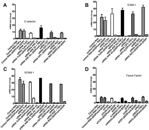 Figure 4. Annexin A2, TLR4, calreticulin, and nucleolin promote EC activation in response to β2GPI and anti-β2GPI Abs through regulation of mRNA levels. ECs were pretreated with either control RNA of random sequence but identical composition as specific siRNA or with specific siRNA against annexin A2, TLR4, calreticulin, or nucleolin. Twenty-four hours later, cells were replated in 6-well microplates, incubated for an additional 24 hours, and then either harvested and analyzed for expression of the targeted protein (not shown) or incubated with β2GPI and anti-β2GPI Abs or TNFα. The content of specific mRNAs was then analyzed by qPCR. Graphs depict the levels of E-selectin (A), ICAM-1 (B), VCAM-1 (C), or TF (D) mRNA. In all cases, specific siRNAs significantly reduced the levels of mRNA for each of the cell-adhesion molecules in response to β2GPI and anti-β2GPI Abs, but not in response to TNFα. Error bars represent the means ± SD of quadruplicate points. The results shown are from 1 representative experiment of 3.