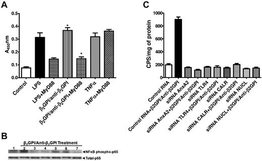 Figure 5. Activation of the TLR4/MyD88/NF-κB signaling pathway is dependent on assembly of the multiprotein signaling complex. (A) ECs were plated in 96-well plates and either not pretreated or pretreated with a cell-permeable peptide that contains a sequence from the MyD88/TIR homodimerization domain that blocks MyD88-dependent TLR4 signaling. Cells were then exposed to LPS, β2GPI and anti-β2GPI Abs, or TNFα. The peptide inhibited EC activation in response to LPS and anti-β2GPI Abs, but not TNFα, demonstrating the dependence of activation on a TLR4/MyD88 pathway.19 Error bars represent the means ± SD of triplicate points. *P < .0001 for cells treated with β2GPI/anti-β2GPI Abs alone versus β2GPI/anti-β2GPI in the presence of the homodimerization domain peptide. (B) ECs were pretreated with control RNA of random sequence but identical composition as specific siRNA (lanes 1 and 2), TLR4 siRNA (lane 3), annexin A2 siRNA (lane 4), calreticulin siRNA (lane 5), nucleolin siRNA (lane 6), or all 4 siRNAs simultaneously (lane 7). Cells were then incubated with β2GPI and anti-β2GPI Abs, and cell lysates prepared and assessed for phosphorylated NF-κB p65 (S536) and total NF-κB content by immunoblotting. (C). ECs were transfected with a construct containing an NF-κB promoter sequence linked to a luciferase reporter gene. Cells were then treated with control RNA or siRNA directed against annexin A2, TLR4, nucleolin, or calreticulin. After incubation with β2GPI and anti-β2GPI Abs, cell lysates were prepared and luciferase activity determined. Pretreatment of cells with each of the siRNAs caused significant reductions in luciferase activity compared with cells pretreated with control RNA (P < .0001 by ANOVA). Error bars represent the means ± SD of triplicate points. The results shown are from 1 representative experiment of 3.