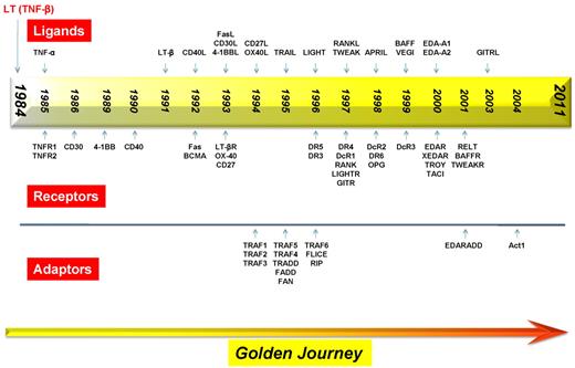 Figure 2. Timeline for the discovery of various members of the TNF superfamily, their receptors, and the receptor-associated adaptor proteins.