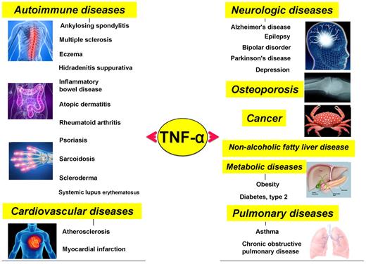 Figure 5. Various diseases that have been closely linked to TNF-α and members of its family.