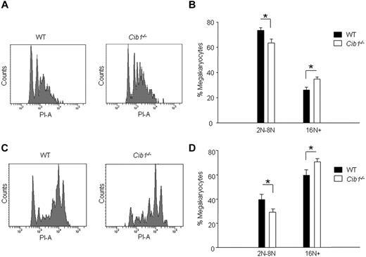 Figure 4. Cib1 deletion increases megakaryocyte ploidy in response to exogenous TPO. (A) Representative histograms of CD41+ BM cells from WT and Cib1−/− mice after addition of 50 ng/mL TPO for 24 hours. (B) Quantification of megakaryocyte ploidy from panel A. *P < .05 vs WT (n = 7). (C) Representative histograms of CD41+ BM cells from WT and Cib1−/− mice after 50 ng/mL TPO treatment for 5 days. (D) Quantification of megakaryocyte ploidy from panel C. *P < .05 vs WT (n = 6).