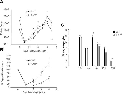 Figure 6. Platelet recovery is attenuated in Cib1−/− mice after immune-induced thrombocytopenia. (A) Time course of platelet recovery from WT and Cib1−/− mice, every 24 hours for 7 days after injection of an anti–mouse CD41 antibody. *P < .05 vs WT (n = 8). (B) Time course of platelet recovery after experimentally induced thrombocytopenia expressed as a percentage of original platelet count. (C) Quantification of DNA content from WT and Cib1−/− megakaryocytes 72 hours after injection of a mouse anti-CD41 antibody.