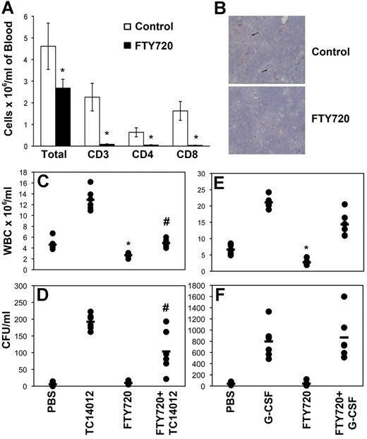 Figure 1. FTY720 inhibits HPC mobilization by CXCR4 antagonists but not G-CSF. (A) Groups of 6 mice were treated with FTY720 or placebo 14 hours before being killed. PB was collected and analyzed for total WBCs and T cells by flow cytometry. The mean and SD of 6 animals is shown. *P < .05. (B) Thymi collected from mice treated as in panel A were stained for S1P1 using immunohistochemistry. Representative fields of view obtained using SPOT Version 4.6 software and a SPOT RTKE camera attached to an Olympus BX40 microscope with a UPlanFl 40×/0.75 lens are shown. Original magnification was 400×. (C-F) Groups of 6 mice were treated with FTY720 or placebo 14 hours before administration of TC14012 (C-D) or G-CSF (E-F). Mice mobilized with G-CSF also received FTY720 each day during the mobilization protocol. WBC counts (C and E) were performed on blood collected by cardiac puncture. CFUs (D and F) were enumerated using semisolid cultures and the number of CFUs/mL was calculated using total WBCs. Each dot represents data from a single animal and the bar indicates the mean for the cohort. Representative experiments are shown. n = 3 for panels C and D and n = 2 for panels E and F. *P < .05 compared with control; #P < .05 compared with TC14012 alone.