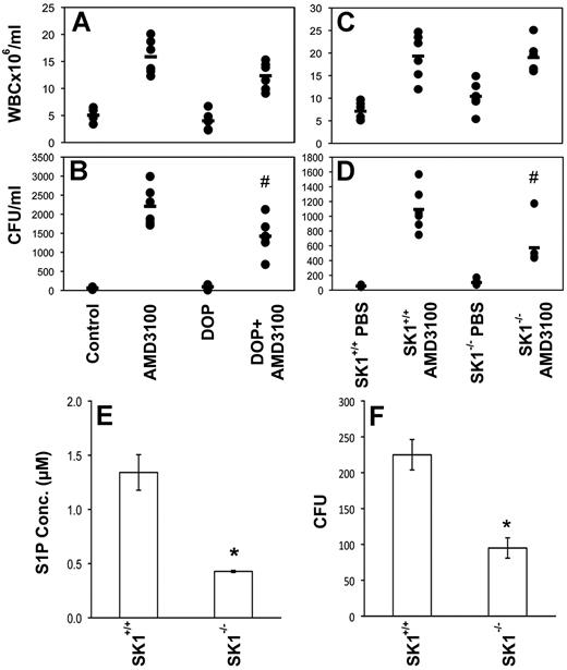 Figure 3. Reducing the plasma S1P concentration or increasing the tissue S1P concentration inhibits AMD3100-mediated HPC mobilization. Groups of 6 mice treated with DOP or placebo for 3 days (A-B) or deficient in SK1 (C-D) were killed 1 hour after treatment with 10 mg/kg of AMD3100 or placebo. WBCs (A and C) and the number of CFUs present in cardiac blood (B and D) were determined as described in the “Methods. ” Representative data from 1 of 2 experiments are shown. #P < .05 compared with AMD3100 alone (B) or AMD3100-treated wild-type mice (D). ELISA was used to determine the level of S1P in the plasma of wild-type and SK1−/− mice (E) and the mean and SD of 3-4 animals for each group is shown. The ability of the plasma from wild-type and SK1−/− mice to induce the chemotaxis of HPCs was determined using a CFU assay to assess the population recovered from the lower chamber (F). *P < .05.