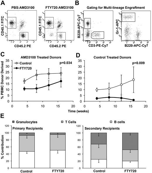 Figure 4. Suppressing S1P1 using FTY720 inhibits the mobilization of transplantable HSCs. (A) Representative scatter plots showing the contribution of donor (CD45.2), recipient (CD45.1/CD45.2), and competitor (CD45.1) cells. (B) Dot plots showing T-cell (CD3), B-cell (B220) and granulocyte (Gr-1) lineage donor (CD45.2) cells in transplantation recipients. (C) The percentage contribution to hematopoiesis in recipient mice receiving PBMCs from placebo- or FTY720-treated donors mobilized with AMD3100 is shown. The mean and standard error of 12 recipient animals is shown. (D) The percentage contribution to hematopoiesis in recipient mice receiving PB from placebo or FTY720 treated donors that were not mobilized. The mean and standard error of 6 recipient animals is shown. (E) The proportion of B cells, T cells, and granulocytes within the donor (CD45.2+)–derived population in primary (left panel) or secondary (right panel) recipients. All primary donors had been mobilized with AMD3100 and treated with (FTY720) or without (Control) pretreatment with FTY720. Secondary recipients received 2.5 × 106 unfractionated BM from primary recipients. Data from 6 primary and 6 secondary recipients are shown for each treatment. Representative data from 1 of 2 experiments are shown.