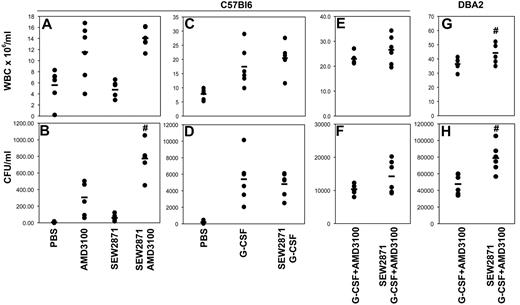 Figure 6. The S1P1 agonist SEW2871 increases the mobilization of HPCs in response to AMD3100 and the combination of G-CSF and AMD3100. Mice received an IV injection of SEW2871 followed by AMD3100 1 hour later. Mice were killed after an additional hour. WBC counts (A, C, E, and G) and the number of CFUs present in cardiac blood (B, D, F, and H) of mice mobilized with AMD3100 (A-B), G-CSF (C-D), or G-CSF + AMD3100 (E-H) with or without the addition of SEW2871 as indicated were determined as described in “Methods.” #P < .05 compared with AMD3100 alone or G-CSF and AMD3100. Representative data from 1 of 2 experiments are shown.