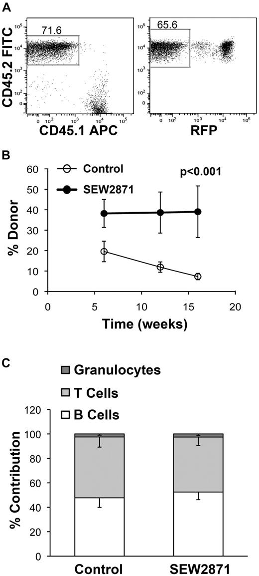 Figure 7. The S1P1 agonist SEW2871 enhances AMD3100-mediated HSC mobilization. (A) Representative scatter plots showing the contribution of donor (CD45.2, RFP−), recipient (CD45.1+), and competitor (CD45.2, RFP+) cells. (B) The percentage contribution to hematopoiesis in recipient mice receiving PBMCs from placebo- or SEW2871-treated donors mobilized with AMD3100 is shown. The mean and standard error in recipient animals are shown. (C) Proportion of B cells, T cells, and granulocytes within the donor (CD45.2+, RFP−)–derived population. Data from a single transplantation experiment are shown.