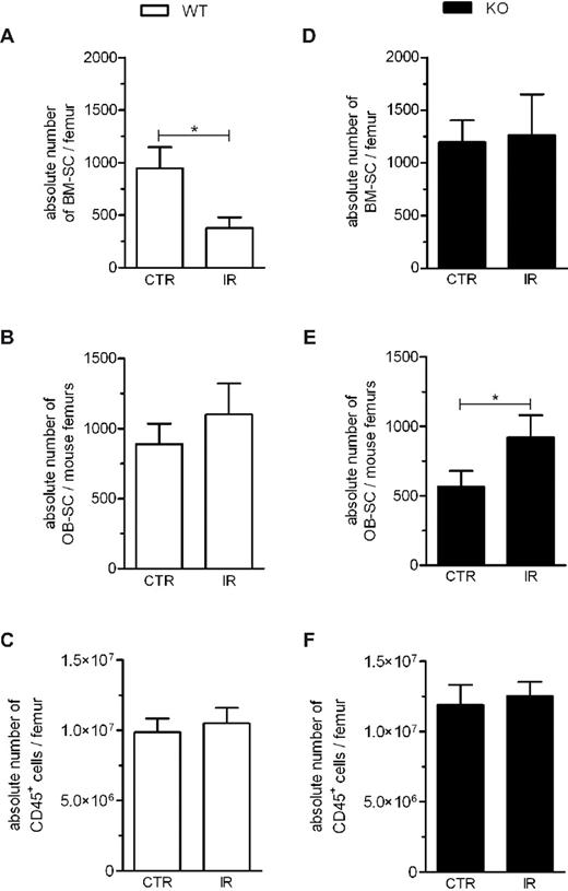 Figure 3. IR-induced changes in the cellularity of the stroma are dependent on their stromal cell type and ink4a/arf status. Absolute cell counts of BM-SC (A,D), OB-SC (B,E), and hematopoietic cell (C,F) populations collected from femurs of wild-type (WT) and Ink4a/arf-deficient (KO) mice were determined by flow cytometry (see “Methods”) after exposure (IR) or not (CTR) to 6 Gy of IR. BM-SC and hematopoietic cell counts were evaluated in each femur OB-SC cell counts were evaluated from both femurs collected from the same mouse. n = 11-21 mice per group. *P < .05 by Student t test.