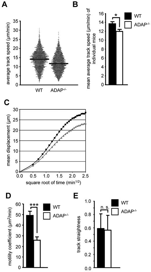 Figure 2. The ADAP/SKAP55 module influences the intranodal motility of naive CD4+ T cells in vivo. (A) Equal cell numbers of Oregon Green–labeled WT and TAMRA-labeled ADAP−/− CD4+ T cells (and vice versa) were adoptively transferred into WT recipients. After 24 hours, the paracortical T-cell zone of the popLN was imaged by intravital microscopy, and T cells were tracked semiautomatically using Imaris. Each dot represents the average track speed of an individual cell; and black bars, median values. Graph summarizes all tracked cells from the popLN imaging of 7 WT recipient mice. (B) Statistical comparison of the mean average track speed values of WT and ADAP−/− CD4+ T cells, calculated separately for each imaging experiment (mean ± SEM; n = 6 for WT, n = 7 for ADAP−/−). *P ≤ .05. (C) Mean displacement plot of WT (black squares) and ADAP−/− (gray squares) CD4+ T cells. (D) Motility coefficient (mean ± SEM; n = 6 for WT, n = 7 for ADAP−/−). ***P ≤ .005. (E) Track straightness (mean ± SEM; n = 6 for WT, n = 7 for ADAP−/−). n.s. indicates not significant.