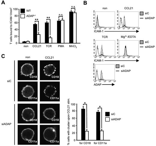 Figure 3. CCL21-induced T-cell adhesion to ICAM-1 and affinity/avidity regulation of LFA-1 depends on the ADAP/SKAP55 module. (A) Purified splenic WT and ADAP−/− T cells were left untreated or stimulated with CCL21, anti–CD3 mAb 145-2C11 (TCR), PMA, or MnCl2, respectively, and subsequently analyzed for their ability to bind plate-bound Fc-ICAM-1 (mean ± SD; n = 6 experiments). **P ≤ .001. n.s. indicates not significant. (B) Human primary T cells were transfected with either control siRNA (siC) or siRNAs against ADAP (siADAP). After 72 hours, cells were analyzed for their ability to bind soluble Fc-ICAM-1 in response to CCL21, anti-CD3 mAb OKT3 (TCR), or Mg2+/EDTA stimulation for 5 minutes. Suppression of ADAP expression was evaluated by flow cytometry. One representative experiment of 3 is shown. (C) Human T cells transfected as described in panel B were stimulated with CCL21, fixed, and stained with FITC-conjugated CD18 or CD11a antibodies. For each experiment, 30 randomly selected cells in triplicates were analyzed to calculate the percentage of cells with CD18 or CD11a clusters by confocal microscopy (mean ± SD; n = 4 experiments). *P ≤ .05.