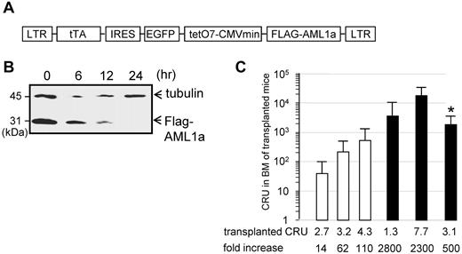 Figure 1. In vivo expansion of HSCs by AML1a expression. (A) Retrovirus vector (TetOFF-GFP-tetO-AML1a) allowing Dox-controllable expression of AML1a (not to scale). (B) Expression of AML1a in BM-derived hematopoietic cells infected with TetOFF-GFP-tetO-AML1a retrovirus, in the absence (0 hours) and after the addition of Dox at the indicated time. (C) Transplanted CRUs, and the fold-increase of CRUs after 4 or 3 (*) months in vivo after transplantation, are presented at the bottom. Corresponding CRUs after 4 or 3 (*) months in vivo are presented for vector-only virus (□) and TetOFF-GFP-tetO-AML1a–infected (■) cells. Bars represent 95% CIs. Results of 3 independent experiments each for the control and TetOFF-GFP-tetO-AML1a are presented.