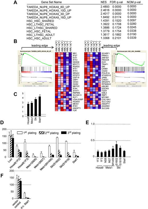 Figure 7. Genes involved in AML1a-mediated expansion of hematopoietic cells. (A-B) BM cells infected with TetOFF-GFP-tetO-AML1a virus were sorted for GFP+ and cultured with SCF and IL-3. Sca-1+ cells in the presence (ie, without AML1a expression) or absence (ie, with AML1a expression) of Dox were used for expression microarray analysis. (A) Gene sets significantly enriched in Sca-1+ cells with AML1a expression compared with Sca-1+ cells without AML1a expression. Gene sets with FDR q < 0.25 among c2.v2. provided by the Broad Institute (http://www.broad.mit.edu/gsea) are presented in supplemental Table 1, among which gene sets related to hematopoiesis are presented along with net enrichment score (NES), FDR q-, and nominal (NOM) P values. (B) Enrichment plot for the gene sets (TAKEDA_NUP98_HOXA9_8D_UP and HSC_HSC_SHARED) and their corresponding heat maps showing genes in the leading edge. (C) Real-time PCR analysis to quantitate transcripts of the indicated genes in AML1a-expressing (Dox minus) cells relative to non–AML1a-expressing (Dox plus) cells. (D) Replating assays of AML1a-expressing cells infected with shRNA virus for the indicated genes. shRNA for luciferase served as a control. (E) Real-time PCR analyses to quantitate transcripts of the indicated genes after infection of the corresponding shRNA viruses. Results are presented as relative amounts of the transcripts compared with the control (ie, shRNA for luciferase). (F) Replating assays of AML1a-expressing cells infected with a dominant-negative form of Stat1. Vector-only infected cells served as a control. Representative data from at least 3 experiments are shown (C-F).