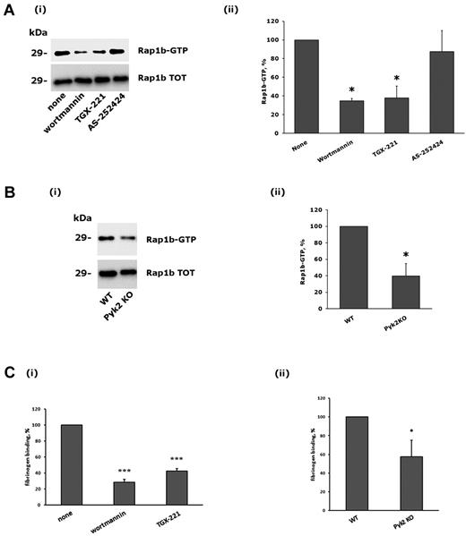 Figure 6. Role of PI3Kβ and Pyk2 in integrin α2β1–mediated Rap1b stimulation and integrin αIIbβ3 activation. (A) Analysis of Rap1b activation. Active GTP-bound Rap1b was precipitated from platelets that had been allowed to adhere to monomeric collagen for 60 minutes after incubation with DMSO (none), wortmannin (100nM, 15 minutes), TGX-221 (0.5μM, 10 minutes), or AS252424 (0.5μM, 10 minutes), as indicated on the bottom. A representative immunoblot is reported in panel i, where the top row shows the active form of Rap1b and the bottom row the level of total Rap1b present in the platelet lysates. Quantification of Rap1b activity was performed by densitometric analysis of the immunoblots, and the results are reported in panel ii. The amount of active Rap1b in adherent DMSO-treated platelets was taken as 100%. Data are the means ± SD of 3 different experiments. *P < .05. (B) Comparative analysis of Rap1b activation in wild-type (WT) and Pyk2-deficient platelets (Pyk2 KO) after adhesion to monomeric collagen for 60 minutes. Both a representative immunoblot (i), and quantitative analysis (ii) of Rap1b activation are shown. Data in panel ii are the means ± SD of 3 different experiments. *P < .05. (C) Analysis of specific binding of biotinylated fibrinogen to adherent platelets. The effect of preincubation of platelets with wortmannin (100nM, 15 minutes), or TGX-221 (0.5μM, 10 minutes) is reported in panel i, where the binding of fibrinogen to DMSO-treated control platelets was taken as 100%. The comparative binding of fibrinogen to adherent platelets from wild-type (WT) or Pyk2-knockout (Pyk2 KO) mice is reported in panel ii. In both cases, data are the means ± SD of 4 different experiments. *P < .05; ***P < .001.