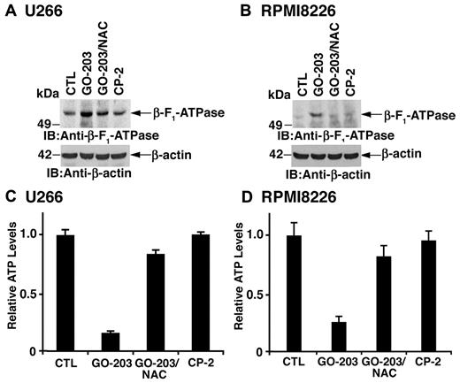 Figure 6. GO-203 treatment increases β-F1-ATPase expression and reduces ATP levels. (A-D) U266 (A,C) and RPMI8226 (B,D) cells were left untreated, and treated with 5μM GO-203 or 5μM CP-2 each day for 3 days. The GO-203–treated cells were also incubated in the presence of 5mM NAC for the last 2 days. Lysates from U266 (A) and RPMI8226 (B) cells were immunoblotted with the indicated antibodies. Lysates from U266 (C) and RPMI8226 (D) cells were analyzed for intracellular ATP levels. The results are expressed as relative ATP levels (mean ± SD of 3 determinations) compared with that obtained for the control.