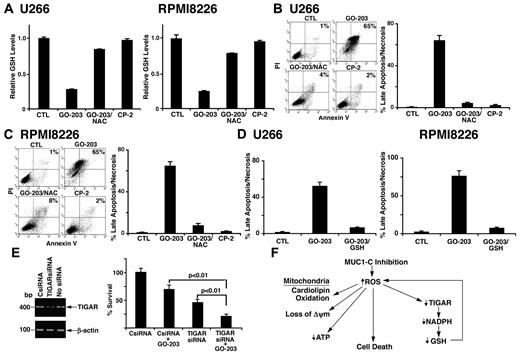 Figure 7. NAC blocks GO-203–induced decreases in GSH and cell death. (A-C) U266 and RPMI8226 cells were left untreated, and treated with 5μM GO-203 or 5μM CP-2 each day for 3 days. The GO-203–treated cells were also incubated in the presence of 5mM NAC for the last 2 days. (A) The U266 (left) and RPMI8226 (right) cells were analyzed for GSH levels. The results are expressed as relative GSH levels (mean ± SD of 3 determinations) compared with that obtained with the control. (B-C) The U266 (B left) and RPMI8226 (C left) cells were incubated with PI and annexin V, and analyzed by flow cytometry. The results are expressed as the percentage of cells with late apoptosis/necrosis (mean ± SD of 3 determinations; B and C right). (D) U266 (left) and RPMI8226 cells (right) were left untreated, and treated with 5μM GO-203 each day for 3 days. The GO-203–treated cells were also incubated in the presence of 5mM GSH for 3 days. The cells were then incubated with PI and annexin V, and analyzed by flow cytometry. The results are expressed as the percentage of cells with late apoptosis/necrosis (mean ± SD of 3 determinations). (E) RPMI8226 cells were left untransfected, and transfected with control (CsiRNA) or TIGAR siRNA pools for 72 hours. TIGAR and β-actin mRNA levels were determined by RT-PCR (left). Analysis of the intensity of the signals by densitometric scanning demonstrated values of 0.98 for CsiRNA-treated cells and 0.29 for TIGER siRNA-treated cells relative to that obtained for nontransfected cells (assigned a value of 1.0). The transfected cells were left untreated, and treated with 5μM GO-203 for 24 hours. Viable cell number (mean ± SD of 3 determinations) was determined by trypan blue exclusion (right). (F) Schematic representation of the proposed effects of inhibiting MUC1-C on the disruption of redox balance in multiple myeloma cells.