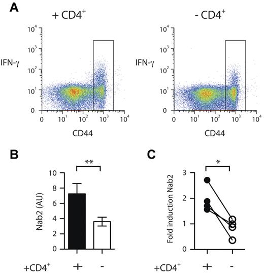 Figure 1. Nab2 is differentially regulated in helped versus helpless CD8+ T cells. Spleens from TAP−/−Ad5E1-MEC–primed mice in a helped or helpless setting were harvested and CD8+ T cells isolated. A CD44hi sort was performed on nonreactivated cells. (A) Purified CD8+ T cells were restimulated for 4 hours with the E1B192-200 peptide and intracellular IFNγ staining was performed. Nineteen percent and 10% IFNγ+ cells for helped and helpless CD44hi CD8+ T cells was measured, respectively. Gate represents sorting gate employed to enrich for CD44hi CD8+ T cells. (B) Quantitative RT-PCR analysis of Nab2 mRNA levels in restimulated CD44hi-sorted CD8+ T cells. (C) Helped and helpless CD8+ T cells isolated from TAP−/− Ad5E1-MEC–primed mice were restimulated with the E1B192-200 peptide or left untreated, and the fold induction of Nab2 transcripts was determined. Each connected dataset represents an independently performed experiment (n = 4; T cells were pooled from 4 mice per group). *P < .05; **P < .02.