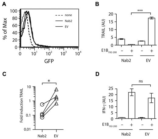 Figure 2. Nab2 blocks TRAIL induction in restimulated helpless CD8+ T cells. CD8+ T cells were purified from TAP−/−Ad5E1-MEC–primed, helpless mice and were transfected with 2 μg of pcDNA3.1-Nab2 or the empty control vector, together with 0.5 μg of the reporter plasmid pMAX-GFP. (A) Twenty-four hours after transfection, GFP expression was determined as a measurement for transfection efficiency. (B-D) CD8+ T cells were cultured for 4 hours in the presence or absence of the E1B192-200 peptide, and the relative expression of TRAIL (B) and IFNγ (D) mRNA was determined. (C) The fold induction of TRAIL in Nab2- or EV-transfected CD8+ T cells was assessed by comparing mRNA levels before and after E1B192-200 peptide restimulation. Each connected dataset represents an independently performed experiment (n = 4; T cells were pooled from 4 mice per group). *P < .05; ***P < .005.