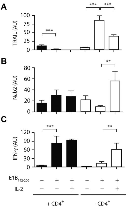 Figure 4. IL-2 affects the transcriptional profile of TRAIL and Nab2 in helpless CD8+ T cells. Purified CD8+ T cells isolated from helped (filled bars) or helpless mice (open bars) were restimulated with the E1B192-200 peptide in the absence or presence of 20 CU/mL of recombinant human IL-2 or were left untreated. The relative mRNA expression of TRAIL (A), Nab2 (B), and IFNγ (C) was determined by RT-PCR (T cells were pooled from 3-4 mice per group and data shown are representative of 3 experiments). **P < .02; ***P < .005.