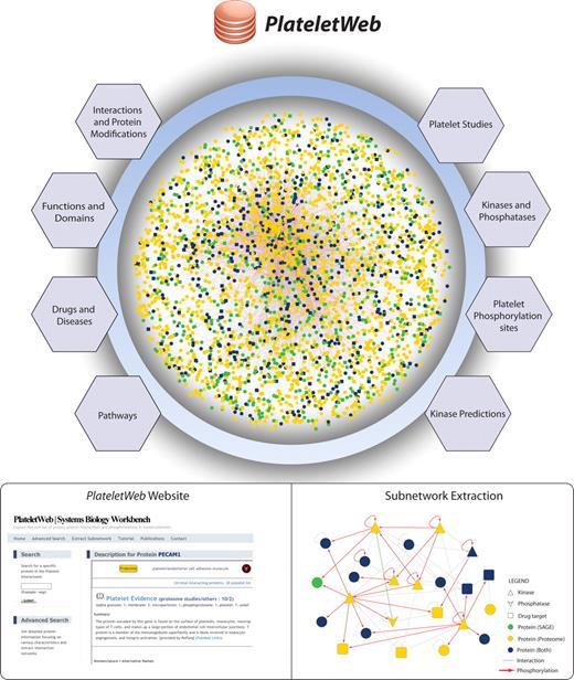 Figure 1. Assembly of an integrated platelet network. Data from various sources were combined, creating a comprehensive network, which serves as a foundation for the integrated network analysis of signaling pathways, kinase distribution, and functional enrichment in platelets. A comprehensive resource of human platelets was created using data from protein-protein interactions and modifications complemented with drug and disease association data, pathway information, kinase-substrate data, and predictions for kinases and transmembrane domains. Based on this, a systems biology workbench was created for easy access to platelet proteins and their related information. Subnetwork extraction allows in-depth analysis of multiple proteins with their modification type, kinase-substrate relationships, and drug association.