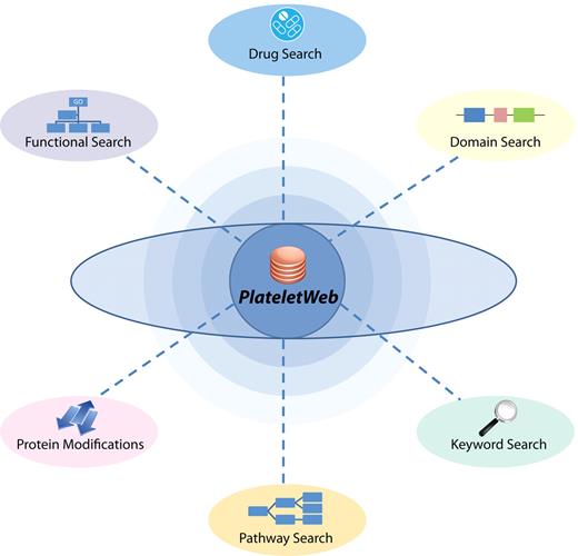 Figure 7. PlateletWeb knowledge base as system biologic workbench. The PlateletWeb knowledge base provides multiple options for functional platelet analysis. Various aspects of platelet function can be investigated using optimized search criteria based on physical and functional properties, pathway information, drug association, protein modifications, or key words related to the protein.