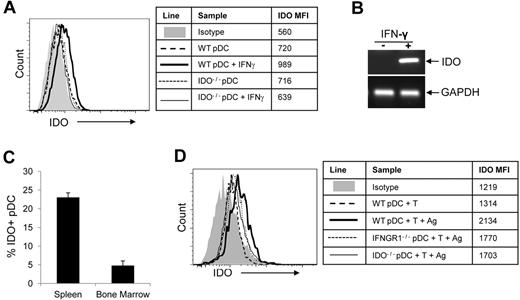 Figure 4. IFN-γ and immune response to alloantigen up-regulate IDO in pDCs. (A) Pre-pDCs from WT B6 BM were exposed to 100 ng/mL IFN-γ for 18 hours, and IDO expression was measured by FACS (heavy line). Pre-DCs from WT mice without IFN-γ treatment and pre-pDCs from IDO1−/− mice were used as controls. Mean fluorescence intensity (MFI) of intracellular IDO staining for each condition is shown in the table. (B) mRNA levels of pDCs were also assessed by semiquantitative RT-PCR with GAPDH as an internal control. (C) B6→BA.B10 transplant recipients of HSCs, T cells, and 5 × 105 GFP+ pre-pDCs were killed at day 10, bone marrow and spleen cells were harvested, and IDO expression in donor GFP+ pDCs was detected by intracellular staining (n = 3). (D) FACS-purified pre-pDCs from WT, IFNGR1−/−, or IDO1−/− bone marrow were cultured with WT T cells with or without irradiated B10.BR splenocytes (Ag) in 96-well round-bottomed plates, and IDO expression was detected by intracellular staining on day 3. MFI for IDO staining is shown in the table. Experiments for panels A and D were performed twice, with data shown from 1 experiment.