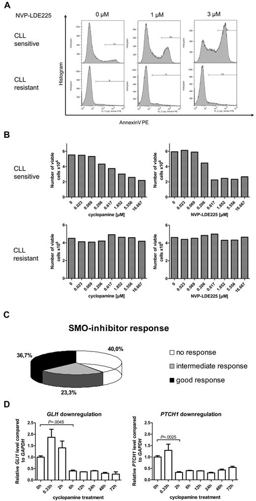 Figure 2. SMO inhibition in primary human CLL samples (n = 60) resulted in 3 different response groups. (A) Apoptosis assay showing annexin V–positive cells after treatment of primary CLL cells with the SMO inhibitor NVP-LDE225 (0μM, 1μM, and 3μM) for 24 hours. Top panel shows one representative example for a SMO inhibitor–sensitive CLL (patient 2), bottom panel an example for a SMO inhibitor–resistant CLL (patient 9). (B) Viable cell counts from the same 2 patients with the use of Guava ViaCount after 24 hours of treatment with the SMO inhibitors cyclopamine and NVP-LDE225 in increasing concentrations. Left side shows CLL cells treated with cyclopamine; right side CLL cells treated with NVP-LDE225. Top panel shows a SMO inhibitor–sensitive example (patient 2), bottom panel shows a SMO inhibitor–resistant CLL (patient 9). (C) Diagram displays the distribution of 60 CLL patient samples (supplemental Table 2; patients 1-60) among the 3 different response groups to SMO inhibitor treatment. Response was determined as good if the CLL sample responded to all 3 SMO inhibitors and with IC50s for cyclopamine < 5μM and for NVP-LDE225 and IPI-926 < 2.5μM. The intermediate response group was represented by patients who responded to only 1 or 2 of the 3 used SMO inhibitors, and nonresponders showed no response to any SMO inhibitor or only responded at very high concentrations. (D) Treatment of CLL cells with 5μM cyclopamine and extraction of RNA after defined treatment periods. qPCR for GLI1 and PTCH1 in comparison to GAPDH and relative to the time point before treatment were performed in triplicates and show a significant reduction of GLI1 transcript levels after 6 hours (n = 3; P = .0045, Student t test) and of PTCH1 transcript levels after 2 hours (n = 3; P = .0041, Student t test). Target gene reduction stays significant until 72 hours.