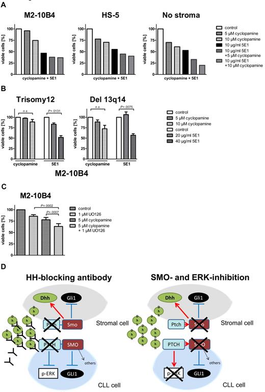 Figure 6. Stroma-induced SMO inhibitor resistance mediated by noncanonical HH signaling can be overcome by the HH-blocking Ab 5E1 or ERK inhibitors. (A) Percentage of viable CLL cells compared with the DMSO control after 48 hours of treatment with the SMO inhibitor cyclopamine or the HH ligand–blocking Ab 5E1 or a combination of cyclopamine and the 5E1 Ab. The HH-blocking Ab 5E1 overcomes SMO inhibitor resistance induced by stromal cells (patient 1). (B) Percentage of viable cells after treatment of primary CLL cells with the SMO inhibitor cyclopamine and the HH-blocking Ab for 48 hours compared with control. Although in both karyotypes SMO inhibitor treatment with 10μM cyclopamine cannot significantly reduce viable cells (trisomy 12: n = 4; P = .1539, Student t test; del 13q14: n = 3; P = .0799, Student t test), the HH-blocking Ab 5E1 can significantly reduce the percentage of viable cells (trisomy 12: n = 4; 20 μg/mL 5E1 P = .0131, Student t test; Del 13q14: 40 μg/mL; n = 3; P = .0075, Student t test; patients 1, 7, 18, 50, 60, 66, 68, 69). (C) Numbers of viable CLL cells compared with the DMSO control in cells treated with cyclopamine or the ERK inhibitor U0126 or a combination of both for 48 hours and measured by flow cytometry after annexin V/7-AAD staining. Combination of SMO and ERK inhibitors shows a significant increase in apoptosis compared with single treatment alone (n = 7; P = .0007, Student t test). (D) Diagram shows the interaction between stromal cells and CLL cells and changes in canonical and noncanonical HH signaling on treatment with the HH ligand–blocking Ab 5E1 (left) or a combination of SMO and ERK inhibitors (right).