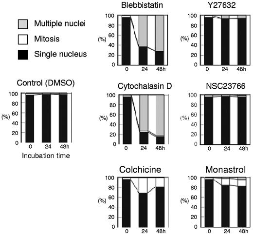 Figure 3. Morphologic analysis of cells cultured with or without inhibitors. Differential counts of cells with a single nucleus (closed bars), multiple nuclei (shaded bars), and cells in mitosis (open bars) are shown. Results presented are the mean of 3 independent experiments.