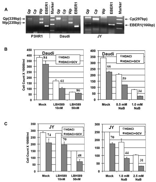 Figure 6. Effect of HDAC inhibitor and GCV combination treatment on other EBV+ lymphoma cells. (A) Analysis of promoter use by the 3 different EBV lymphoma cell lines used in the study. Reverse transcription and PCR analysis of total RNA was carried out using primers that specifically detected the Qp, Wp, or Cp transcripts (Table 2). Products were analyzed on a 2% agarose gel with a 100-bp DNA ladder as a marker. A vertical line has been inserted to indicate a repositioned gel lane. (B) Effect of combination treatment on the BL line Daudi. Four hundred thousand cells/mL/well were used along with 60μM GCV in the appropriate wells. Assay parameters were as described in the legend for Figure 2. (C) Effect of combination treatment on the EBV-transformed lymphoblastoid cell line JY. In this case, 200 000 cells/mL/well were used, along with 60μM GCV as appropriate. Experiments were repeated 3 times and error bars represent SDs in individual experiments.