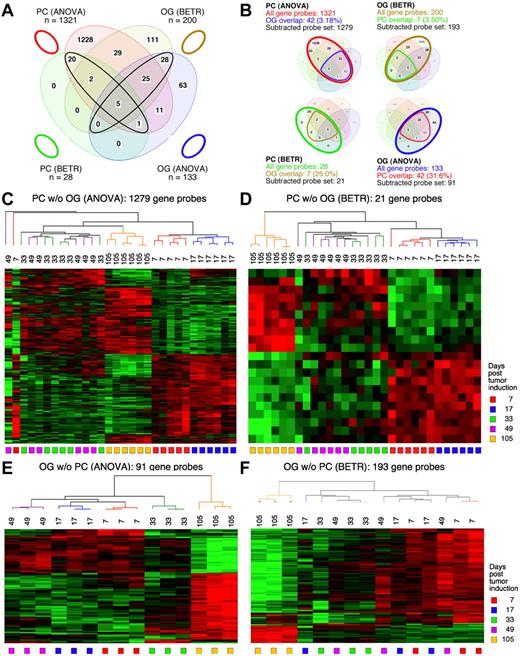 Figure 3. Gene expression changes during tumor progression in study 2 (validation study). Samples were analyzed as in study 1. Venn diagram showing the number of gene sets found to be significantly variable by ANOVA and BETR analysis of PC (plasma cell) and oil granuloma (OG) samples. Overlap of genes from the different analyses and different samples is indicated. The list of gene sets revealed by ANOVA and BETR analysis of both gene sets, before removal of overlapping genes, can be found in supplemental Tables 5 through 8. (B) Venn diagrams that illustrate the gene subtraction approach used in this study. The ANOVA-revealed PC gene set (top left) consists of 1321 gene probes (red oval), 42 of which also occurred in the ANOVA-revealed OG gene set (blue cone). Thus, the corrected or subtracted ANOVA-PC-gene set consists of 1279 gene probes. The same algorithm applies to the BETR-revealed PC gene set (bottom left), the BETR-revealed OG gene set (top right) and the ANOVA-revealed OG gene set (bottom right). Panels C, D, E, and F present heat maps of changing genes during tumor progression in LMD-isolated PC samples or non-dissected, whole-tissue OG samples after removal of gene sets, as described in panel B. Differently regulated genes identified by either ANOVA or BETR analyses were subjected to unsupervised hierarchical clustering. Up- and down-regulated genes are indicated by red and green, respectively. Time of tumor induction is indicated by colored squares and dendrograms below and above heat maps, respectively.