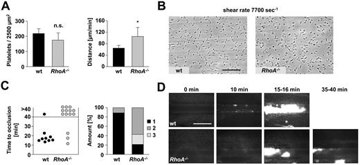 Figure 5. RhoA−/− platelets display increased rolling velocity on VWF ex vivo and form only instable thrombi after FeCl3 injury in vivo. (A-B) Unaltered adhesion but accelerated rolling of RhoA−/− platelets on VWF ex vivo. Heparinized whole blood was perfused over immobilized murine VWF at a shear rate of 7700 seconds−1. (A) Mean distance per minute ± SD (left) and mean number of adherent platelets per 2500 μm2 ± SD (right) are shown (n = 6; *P < .05). (B) Representative phase contrast images after 1 minute of washing with Tyrode HEPES buffer are illustrated. Scale bar represents 50 μm. (C-D) RhoA−/− mice display instable thrombus formation after FeCl3-induced vascular injury. Small mesenteric arterioles were injured by topical application of FeCl3, and thrombus formation of fluorescently labeled platelets was monitored using intravital microscopy. (C) Time to stable vessel occlusion (left) and amount of stably occluded (1), recanalized (2), and nonoccluded vessels (3) after injury of wt and RhoA−/− mice (right) are shown. Each symbol represents 1 arteriole. (D) Representative pictures at the indicated time. Scale bar represents 100 μm. Asterisk indicates stable occlusion of the vessel.