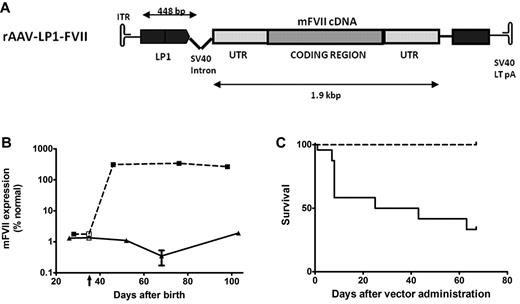 Figure 1. FVII-deficient neonatal mice treated with an AAV8 vector-encoding murine FVII. (A) A schematic of the rAAV-LP1-mFVII construct consisting of the murine FVII cDNA under the control of a liver-specific LP1 promoter/enhancer element, followed by the SV40 virus large T Ag poly-A signal. (B) FVII activity as assessed by a chromogenic assay in plasma of low FVII mice after treatment with 2 × 1013 vg/kg AAV8-LP1-mFVII (broken line, N = 9) compared with control untreated low FVII animals (solid line, N = 3). Vertical arrow indicates virus administration on day 35. (C) Kaplan-Meier survival curve showing that low FVII mice treated with a single tail vein injection of AAV8-LP1-mFVII survived for at least 65 days after administration (100 days postnatal; broken line, N = 19), a significant (P < .0001) improvement over untreated mice (solid line, N = 23).