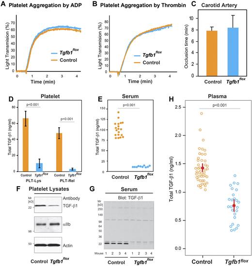 Figure 3. Megakaryocyte-specific targeted deletion of TGF-β1 reduces platelet, platelet releasate, serum, and plasma levels of total TGF-β1 but does not affect platelet function in vitro or in vivo. (A-B) Agonist-induced platelet aggregation was similar in control and Tgfb1flox mice. (A) Platelet-rich plasma from control and Tgfb1flox mice was stimulated with 1μM ADP, and light transmission was measured over time (1 of 3 similar experiments is shown). (B) Washed platelets from control and Tgfb1flox mice were stimulated with 0.125 U/mL thrombin, and the aggregation response was measured over time (1 of 3 similar experiments). (C) FeCl3-induced carotid artery thrombosis in vivo was similar in control and Tgfb1flox mice. Thrombosis was initiated by applying 20% FeCl3 to the carotid arteries of control and Tgfb1flox mice, and the time to complete cessation of blood flow was recorded as the occlusion time (n = 4). (D) Total TGF-β1 levels in platelet lysates (PLT-Lys) and platelet releasates (PLT-Rel) from control mice (n = 4) or from Tgfb1flox (n = 4) were measured by ELISA. (D) Serum total TGF-β1 levels in control (n = 19) and Tgfb1flox mice (n = 10) were measured by ELISA. (E) Platelet lysates from control and Tgfb1flox mice were immunoblotted with antibodies to TGF-β1 (top panel), αIIb (middle panel), and actin (bottom panel). (F) Serum samples from 4 control and 4 Tgfb1flox mice were immunoblotted with antibody to TGF-β1. (G) Plasma total TGF-β1 levels in control (n = 45) and Tgfb1flox (n = 25) mice were measured by ELISA.