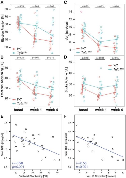 Figure 5. Mice with megakaryocyte-specific gene targeting of TGF-β1 have better preservation of systolic function than WT mice. (A) EF, (B) FS, (C) Vcfc, and (D) SV were calculated from echocardiographic measurements in WT and Tgfb1flox mice before (basal) and 1 and 4 weeks after TAC surgery. Total TGF-β1 levels at 1 week after surgery were inversely correlated with (E) FS and (F) Vcfc.