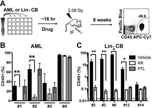 Figure 4. KR inhibits AML engraftment in NOD/SCID model. (A) Experimental design of ex vivo treatment. AML or Lin− CB cells were treated overnight with DMSO vehicle (black), 10μM KR (white), or 5μM PTL (gray), and injected into irradiated NOD/SCID mice. Eight weeks later, the surviving mice were killed and human leukemia or normal hematopoietic cell engraftment (CD45+) was measured in the injected right femur. (B) Leukemic engraftment by 2 of 4 AML samples was inhibited by KR treatment. (C) Normal hematopoietic engraftment from 5 Lin− CB pools was inhibited by KR and PTL treatment (*P < .05 and **P < .01).