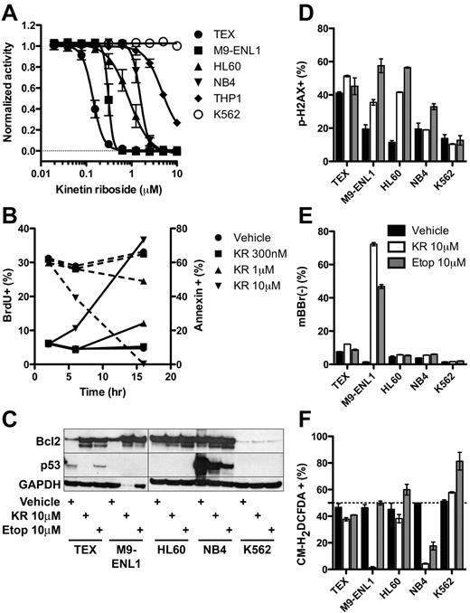 Figure 5. Molecular effects of KR treatment of leukemia cells. (A) The growth of KR treated leukemia cell lines was measured using Alamar Blue from 4-9 separate experiments. (B) TEX cells were treated with KR for indicated times and doses. BrdU was added for the final 2 hours of culture. Proliferation (BrdU+; dashed lines) and apoptosis (annexin-V+; solid lines) was measured by FACS in triplicate. (C) Bcl2 and p53 Western blot of 10μM KR or 10μM etoposide treated leukemia cells. (D-F) Leukemia cells were treated overnight in triplicate with DMSO vehicle (black), 10μM KR (white), or 10μM etoposide (gray). Harvested cells were stained for (D) DNA damage (phoshpo-H2A.X), (E) loss of intracellular free thiol groups (mBBr−); or (F) reactive oxygen species (CM-H2DCFDA).