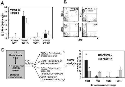 Figure 2. RDTR/SCFHA-LVs target gene transfer to hCD34+ cells in the total CB MC population. MCs were isolated from fresh CB using a Ficoll gradient and cultured in the absence of RetroNectin. MCs were incubated with LVs pseudotyped with RDTR or VSV-G in the presence of human rSCF (50 ng/mL) or with vectors co-displaying RDTR or VSV-G with the SCFHA glycoprotein without addition of cytokines at MOI = 10 (A,C) and/or MOI = 1 (A-B). (A) At day 3 after transduction, cells were evaluated for CD34+ surface marker and GFP expression by FACS (means ± SD, n = 4). (B) The percentage of GFP+ cells in early progenitors (CD34+ cells), T cells (CD3+ cells), B cells (CD19+ cells), and natural killer cells (CD56+ cells) in the transduced MC population is indicated. MOI = 1 was used and the mean fluorescence intensities (MFIs) are indicated. The data are representative of 3 experiments. (C) Comparison of the transduction efficiencies between the different lineages in the CB MC population transduced by RD/SCFHA LVs or VSV-G LVs. After 48 hours of transduction, early progenitor cells (CD34+ cells), T cells (CD3+ cells), B cells (CD19+ cells), and monocytes (CD14+ cells) were isolated from the MC fraction, each cell lineage was continued in culture for 6 days as indicated, and transduction was analyzed by FACS (means ± SD, n = 3).